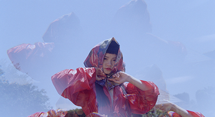 Read more about the article I never promised you a rose garden