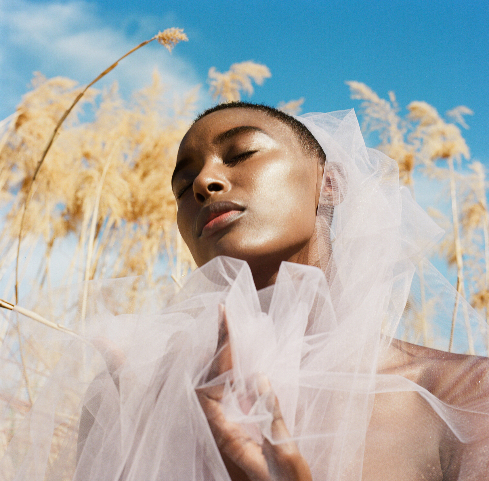Read more about the article WARM & WONDERFUL
