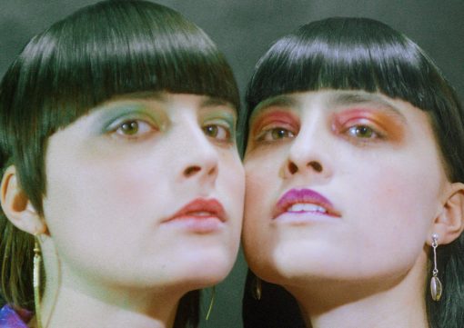 Read more about the article TWINS