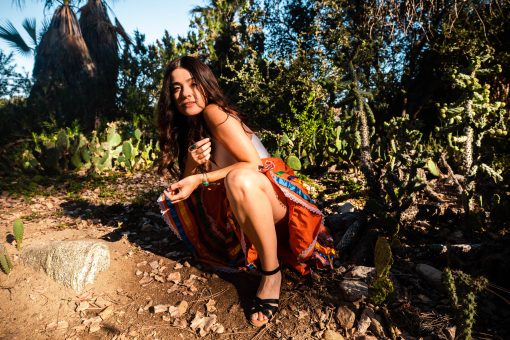 Read more about the article ALICIA BLUE AND THE BORDER ANGELS