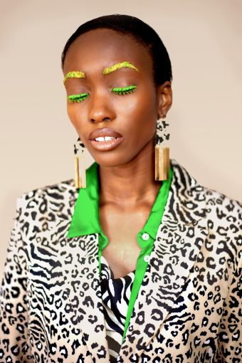 Read more about the article SILK SAFARI