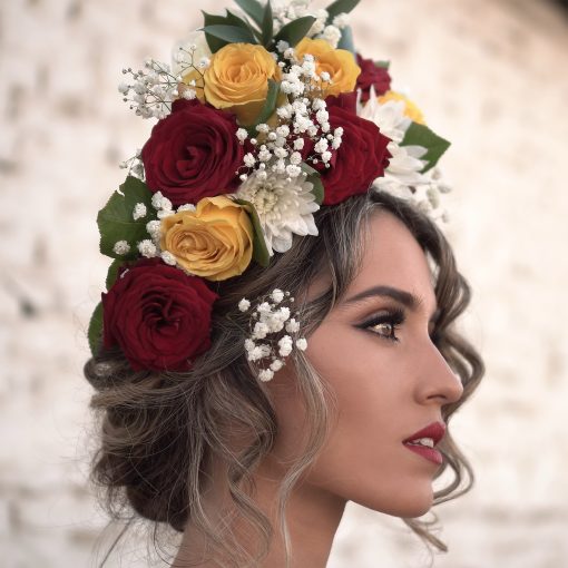 Read more about the article MIMOZA AND HER YOUNG QUEENS
