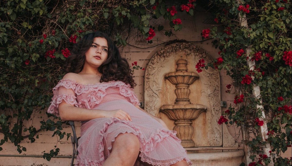 Read more about the article NIKKI IN WONDERLAND