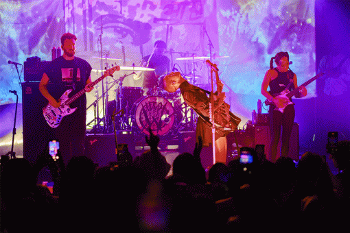 Read more about the article WILLOW AT THE OBSERVATORY IN SANTA ANA