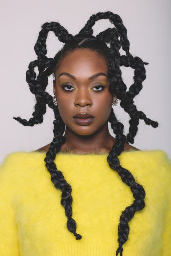 Read more about the article DAMSEL IN DISTRUST