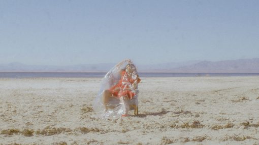 Read more about the article  FROM THE SALTON SEA: THE TALIA AROSE INTERVIEW