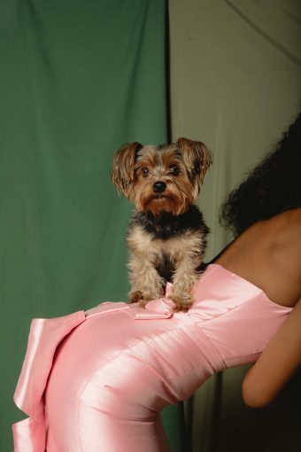 Read more about the article BLACK PET PARENTS