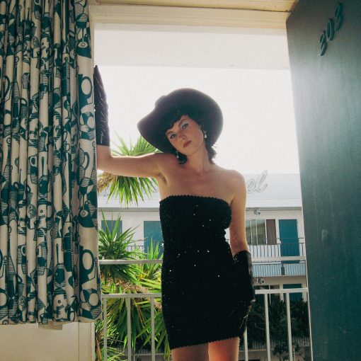 Read more about the article LINNEA TAKES REFUGE IN A “LONE STAR MOTEL”