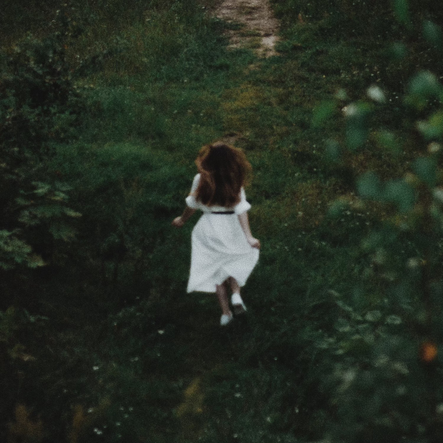 Read more about the article Tears and Truths on Liv Miraldi’s Haunting New Single “Friend of the Family”