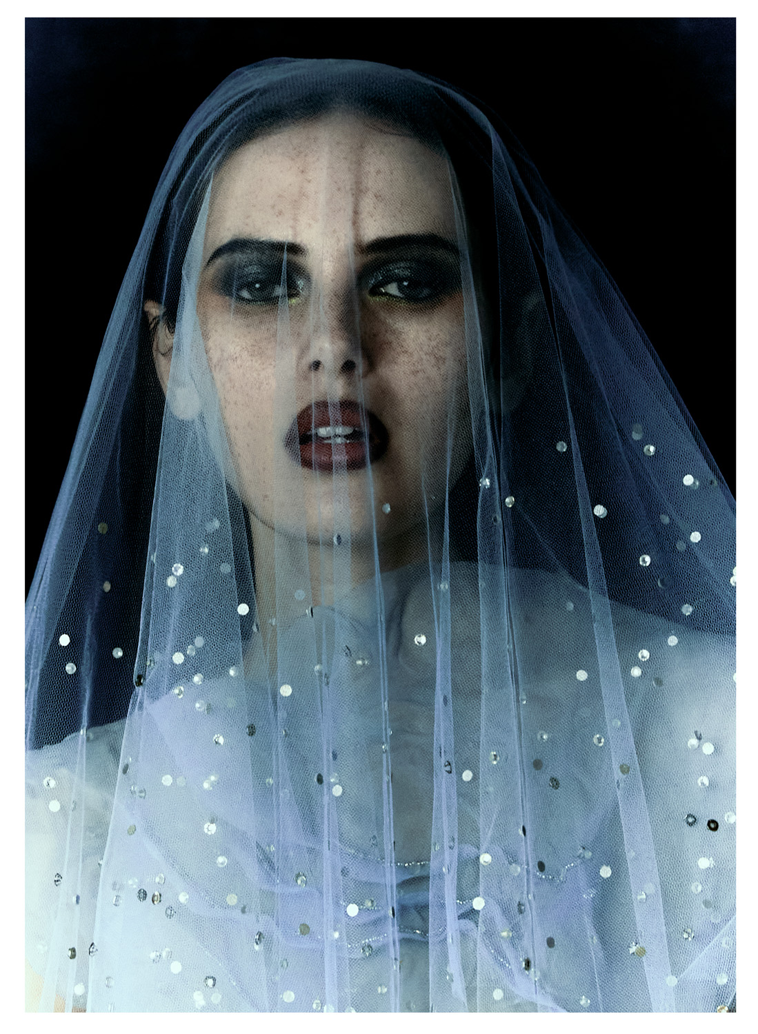 Read more about the article DARK HORSE