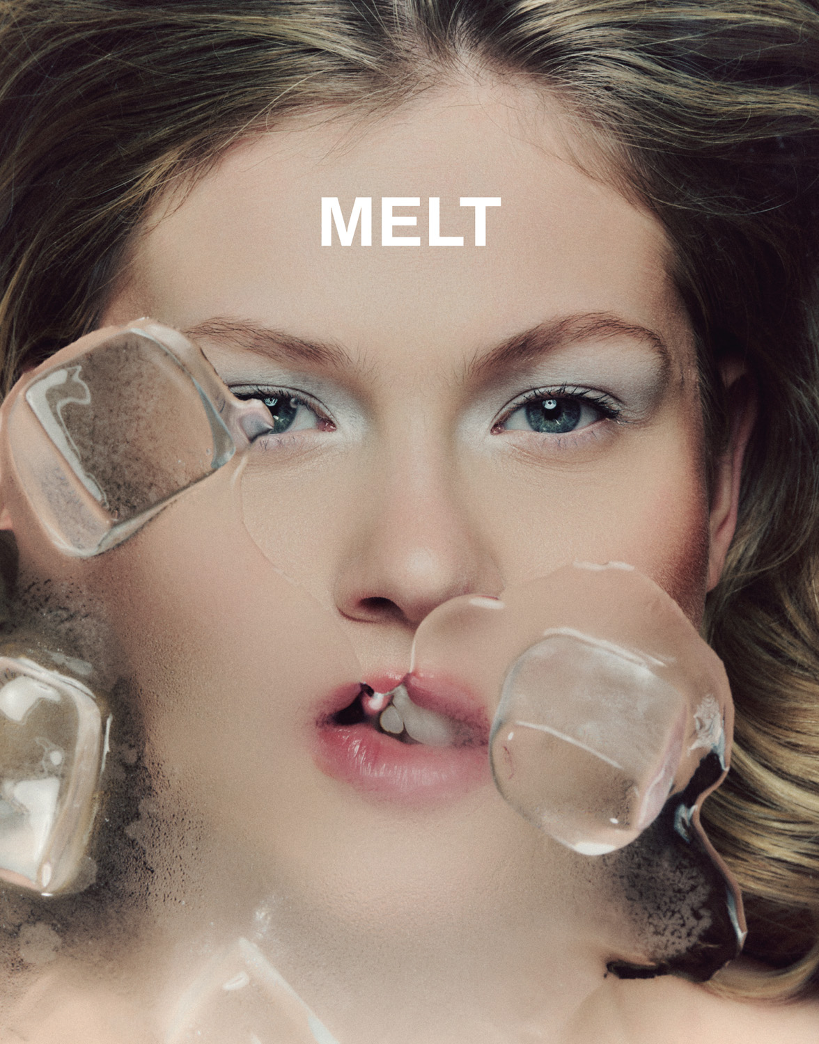 Read more about the article MELT