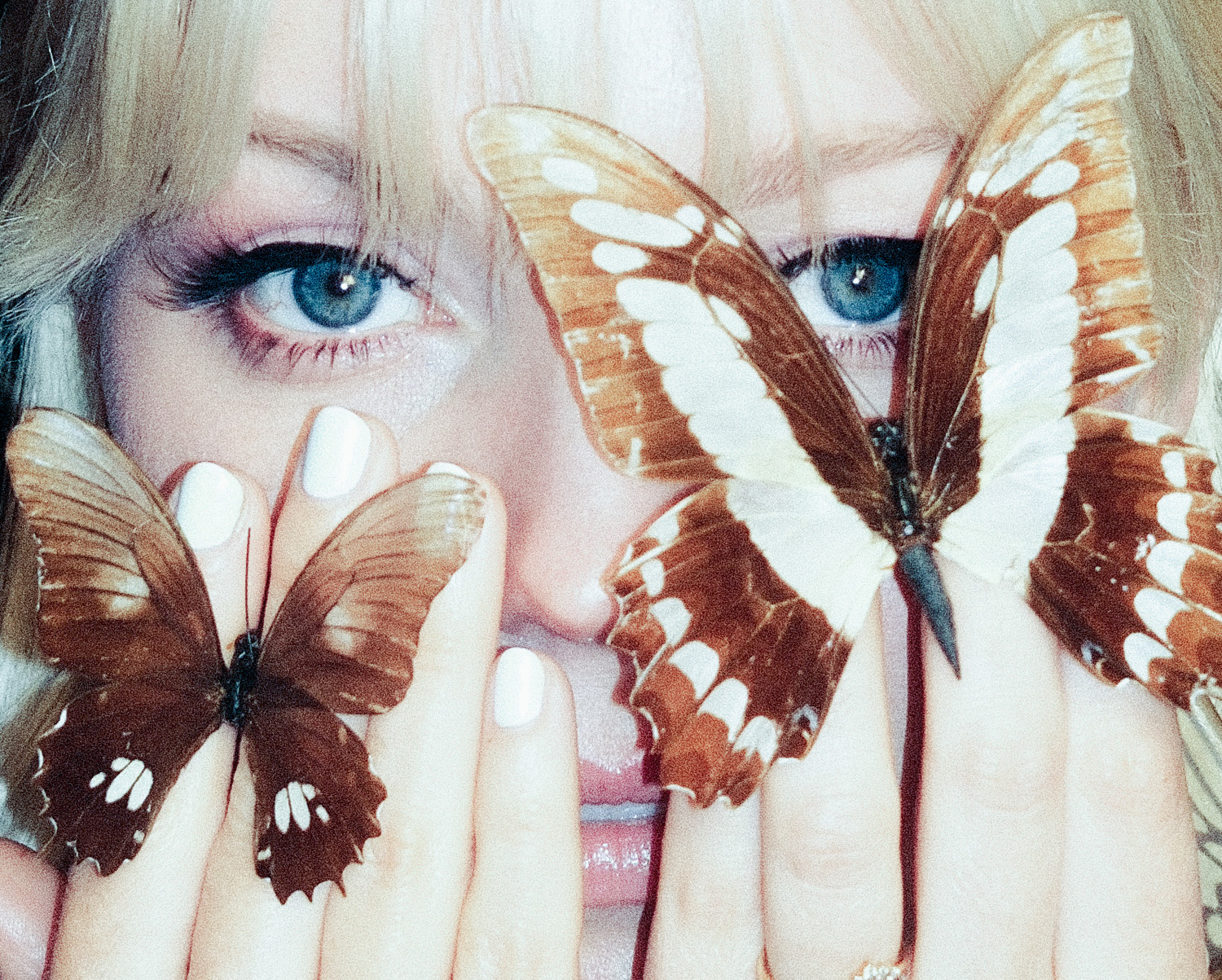 Read more about the article Violet Days Lets “Everything’s Coming Up Roses” Grow Wild