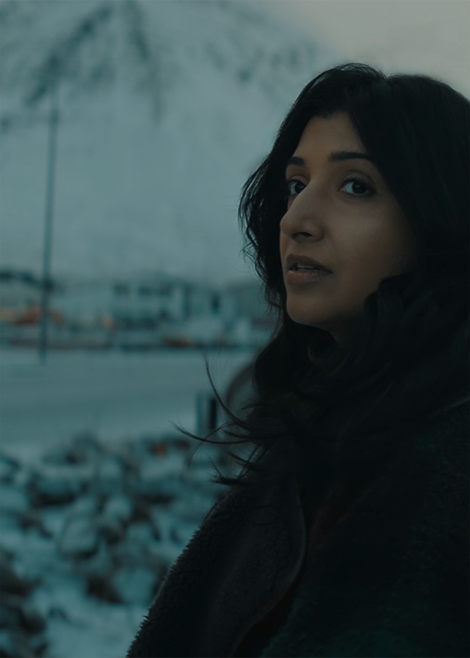 Read more about the article Into the Mist with Anita Aysola’s “Lost Ones”